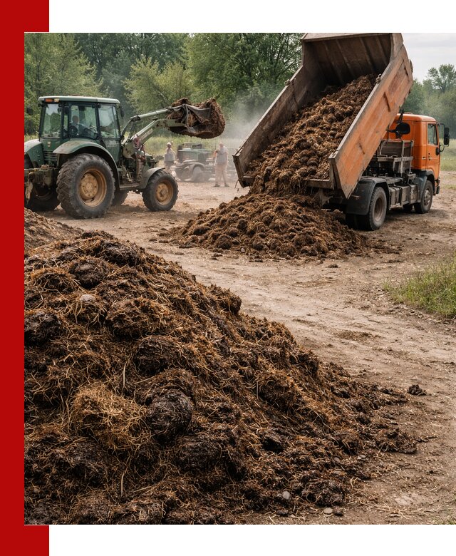 Доставка навоза самосвалами в Сорочинске для сельхозпотребностей