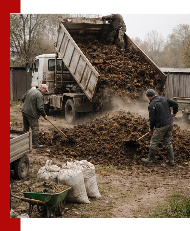 Доставка коровьего навоза самосвалом в Сорочинске